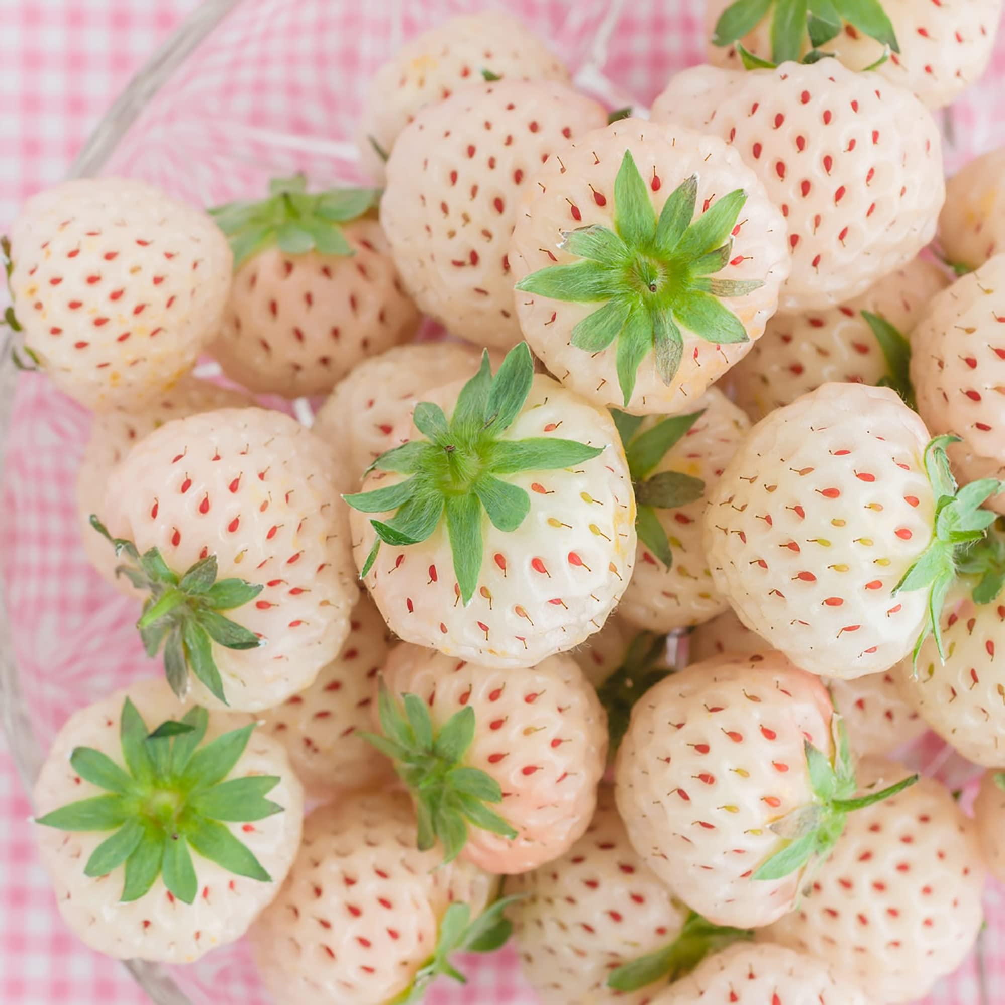 Amazon.com : QAUZUY GARDEN 200 Rare White Strawberry Seeds for